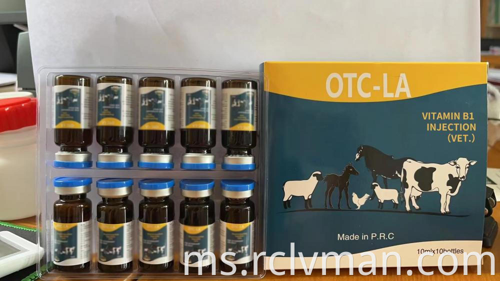 Vitamin B1 Injection 2